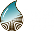 Tropical Marine Timbers